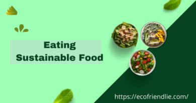 7 Foods Promote Sustainable Eating- EcoFriendlie