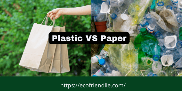 Environmental Impact of Plastic VS Paper- EcoFriendlie