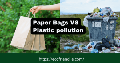 Paper Bags Benefits VS Platic Pollution Crisis- EcoFriendlie