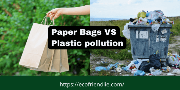 Paper Bags Benefits VS Platic Pollution Crisis- EcoFriendlie