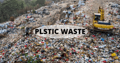 Plastic Waste Types and Issues in the World- EcoFriendlie