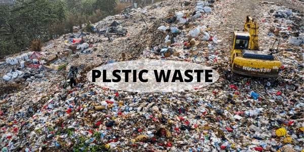 Plastic Waste Types and Issues in the World- EcoFriendlie