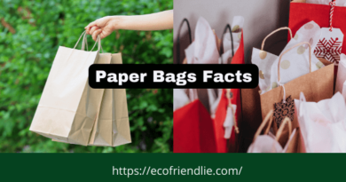 Surprising Facts About Paper Bags- EcoFriendlie