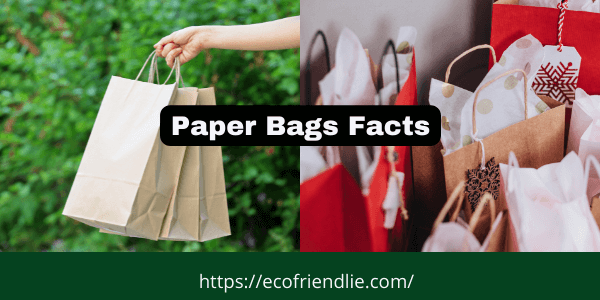 Surprising Facts About Paper Bags- EcoFriendlie