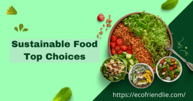 Tips for Eating Sustainable Food and Top Choices- EcoFriendlie