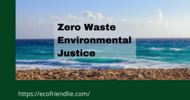 Zero Waste and Environmental Justice- EcoFriendlie