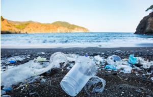 plastic pollution facts 