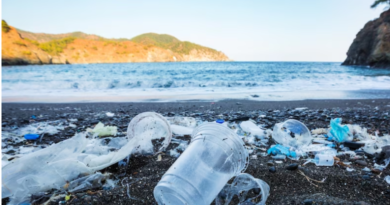 plastic pollution facts