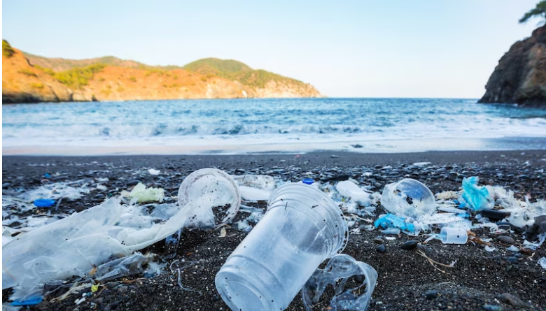 plastic pollution facts