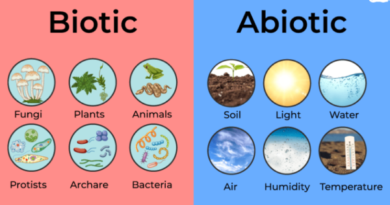 Biotic And Abiotic Factors Of Desert Ecosystem