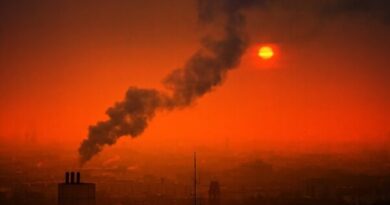 most polluted cities in the us