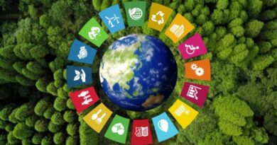 sustainable development goals sdgs