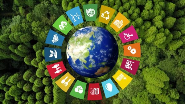 sustainable development goals sdgs