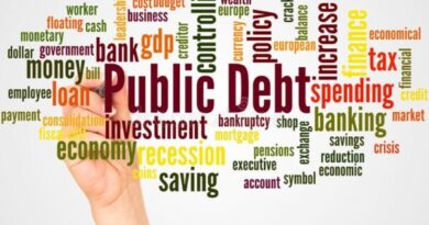 public debt