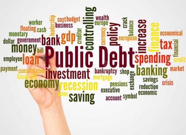 public debt