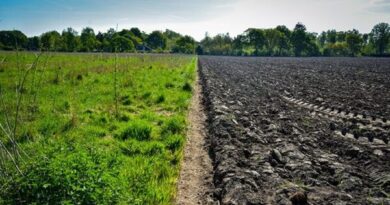 regenerative agriculture